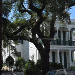 OTRA2014_1288 (September 03, 2014)